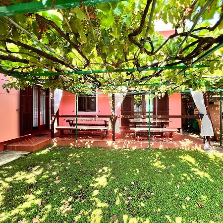 Apartment Lubi